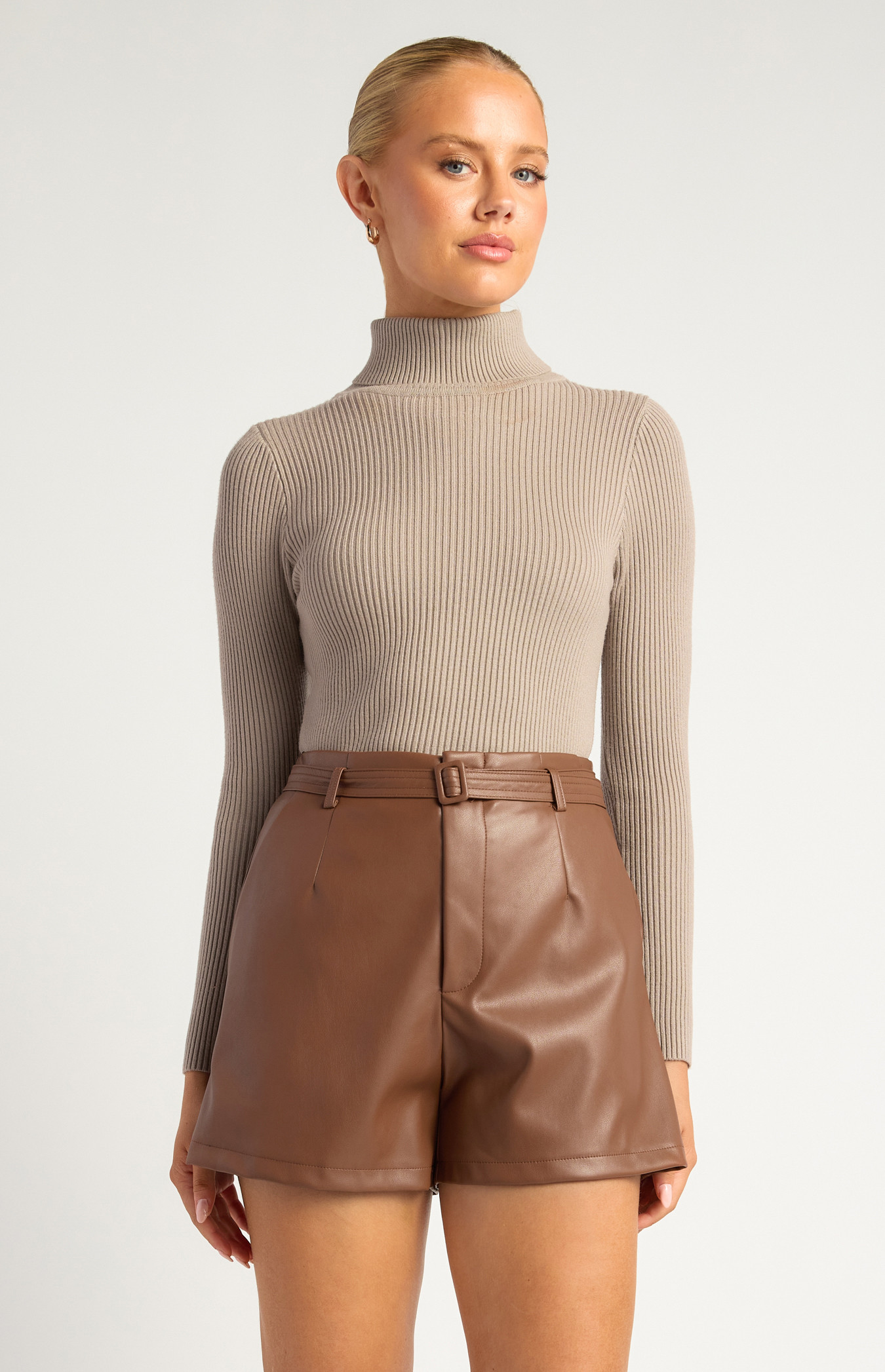 High Neck Fitted Basic Knit Top (SKN320)