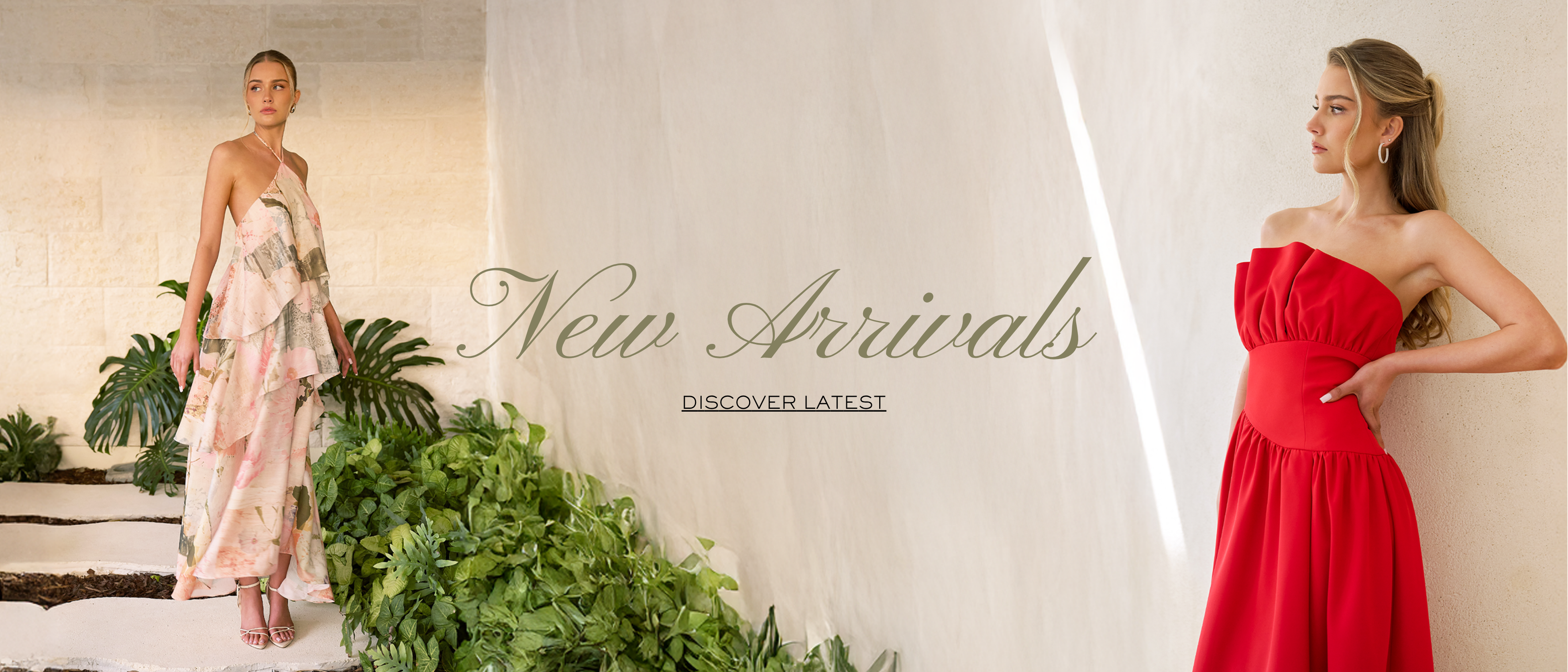 Discover the Collection